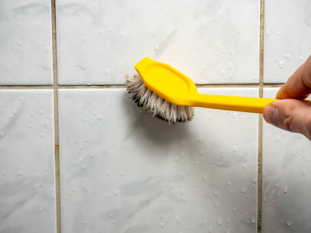 Best Health and Safety Mold Remediation in Largo, MD